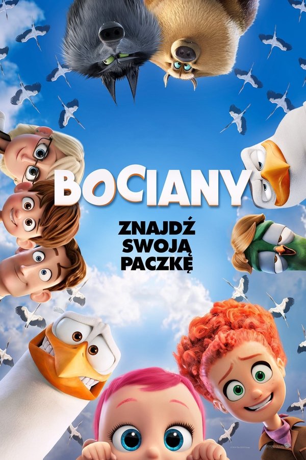 PL - BOCIANY (2016)