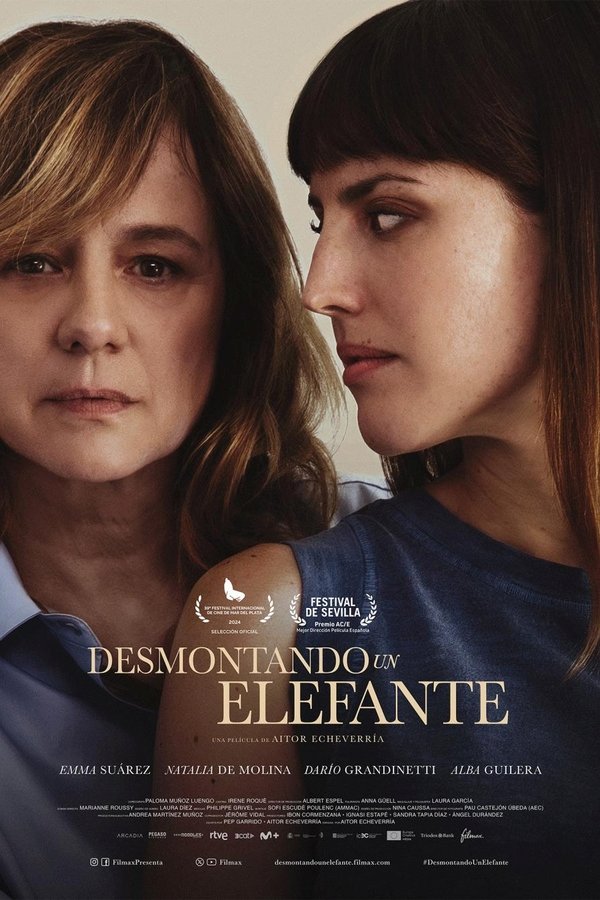 ES - Desmontando un elefante (LQ) (2025)