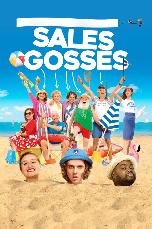 FR - Sales gosses (2017)