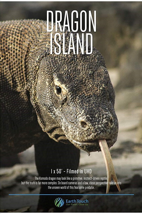 EN - Dragon Island (2016)