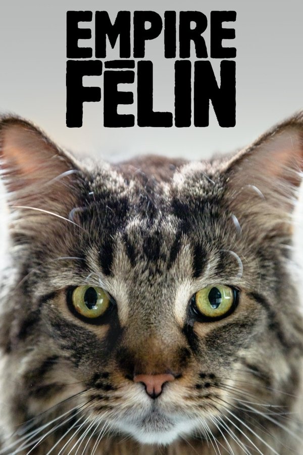 FR - Empire Félin (2019)