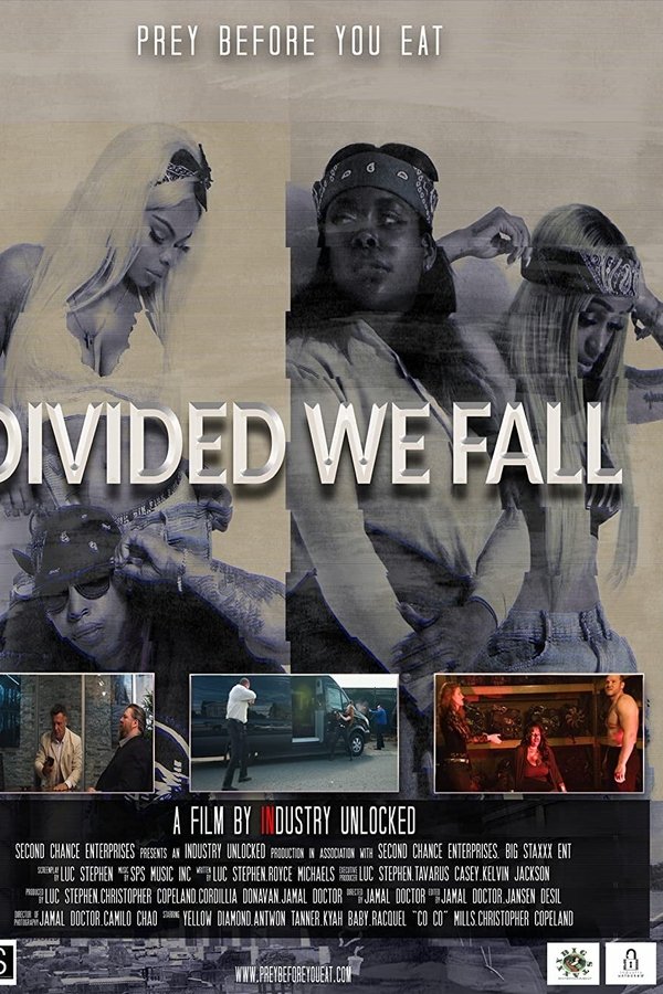 EN - Divided We Fall  (2021)