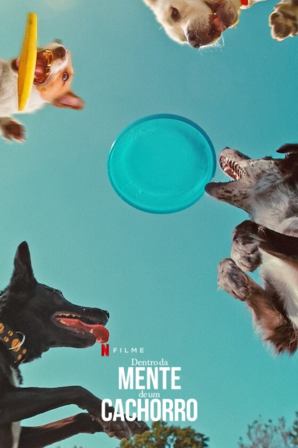 PT - Em Que Pensam os Cães (2024)