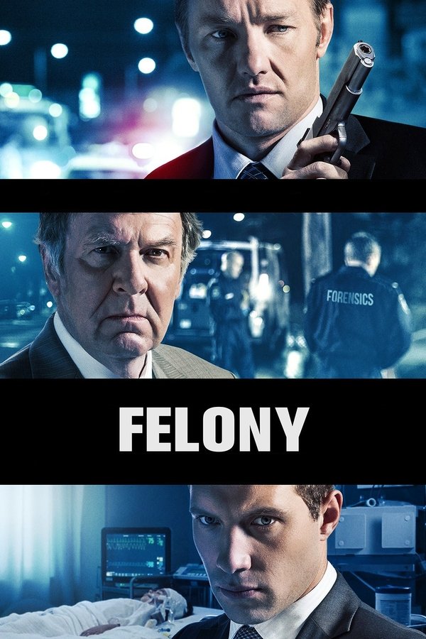 AL - Felony  (2013)