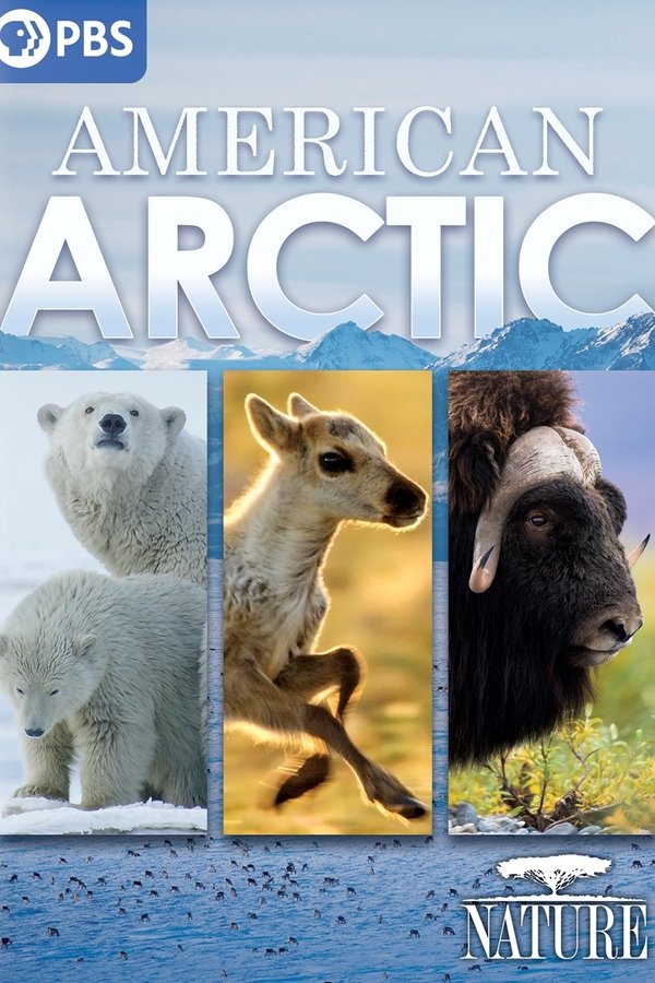 EN - NATURE American Arctic (2022)