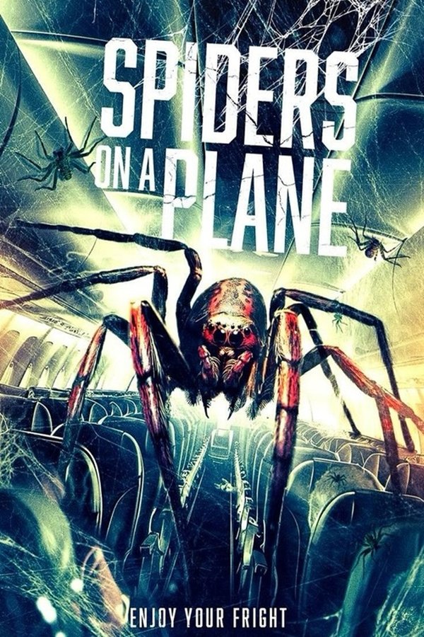 AR - Spiders on a Plane (2024)