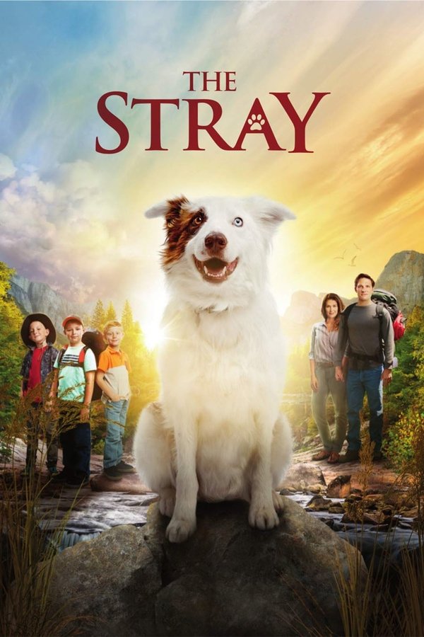 LAT - The Stray (2017)