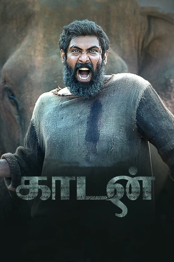 AR - Kaadan  (2021)