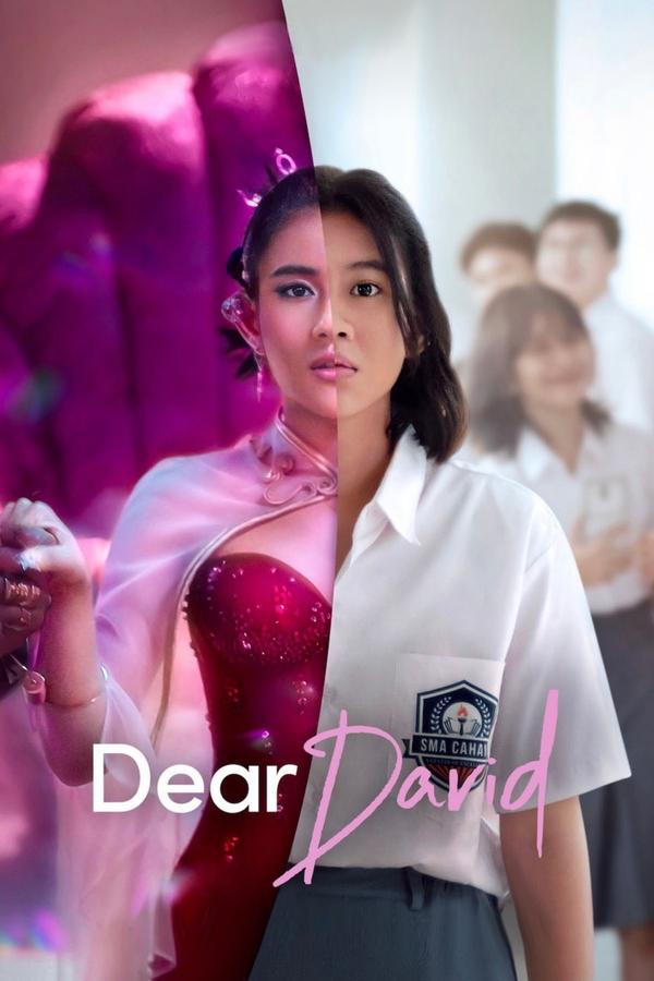 FR - Dear David (2023) (VOSTFR)