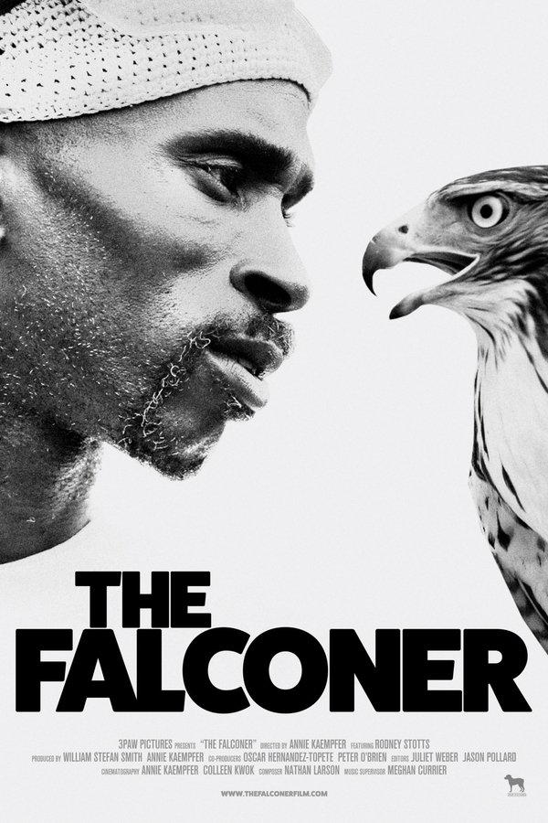 AR - The Falconer  (2020)