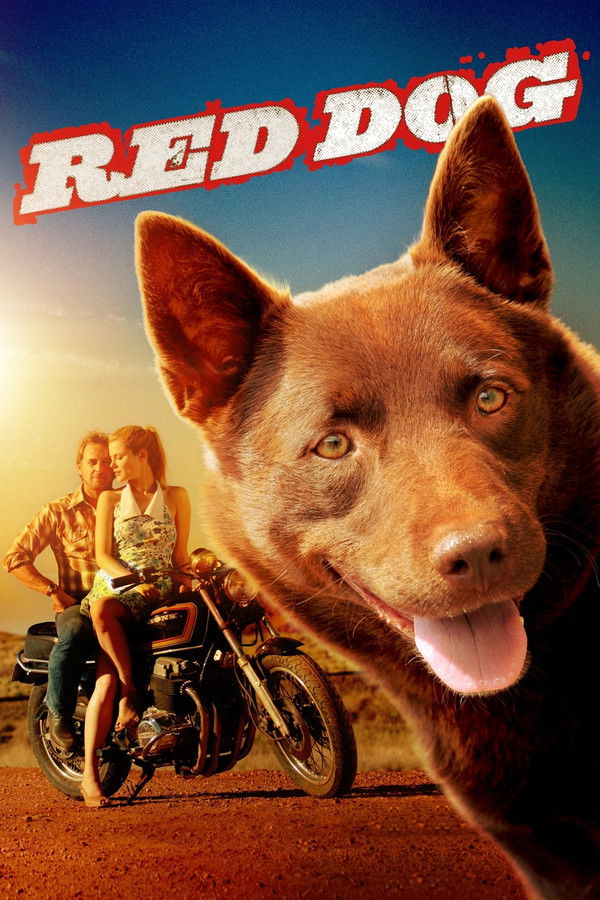 SE - Red Dog