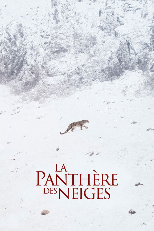FR - La Panthère des neiges  (2021)