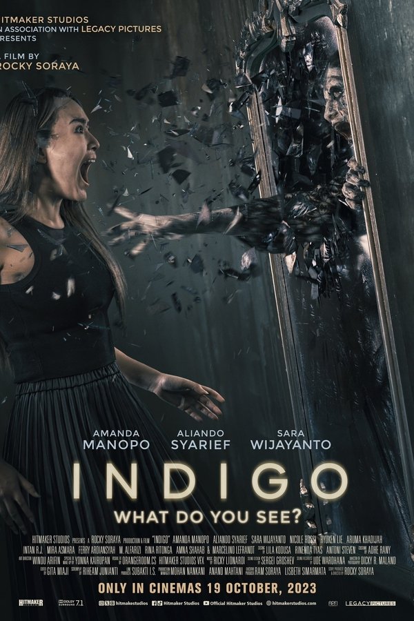 NF - Indigo (2023)