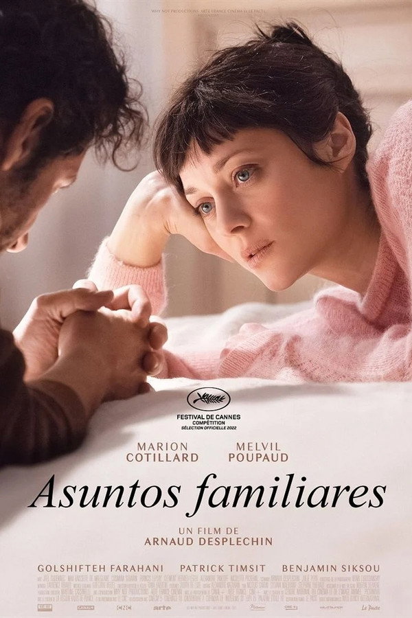 ES - Asuntos familiares (2022)