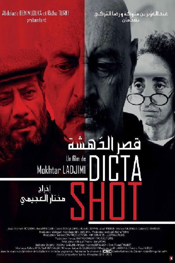 AR - (2015) فيلم قصر الدهشة