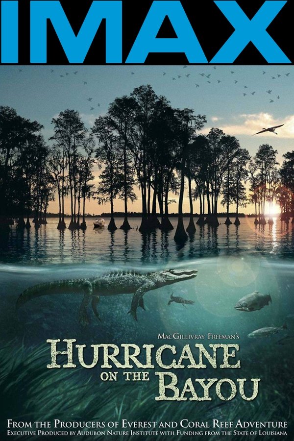 EN - IMAX Hurricane On The Bayou (2006)