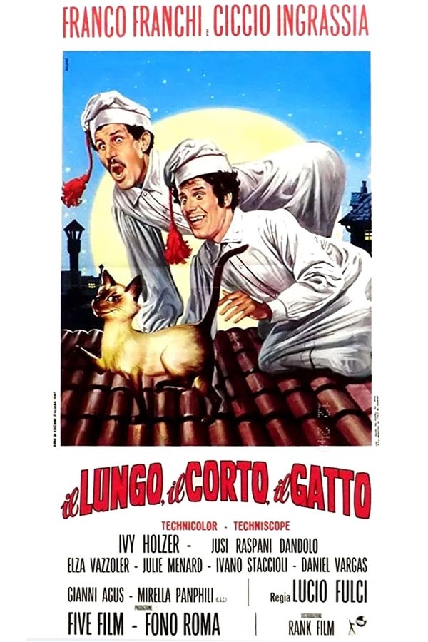 Il gatto چیچو فرانکو بچه های پلنگ (1967) - Ciccio e Franco