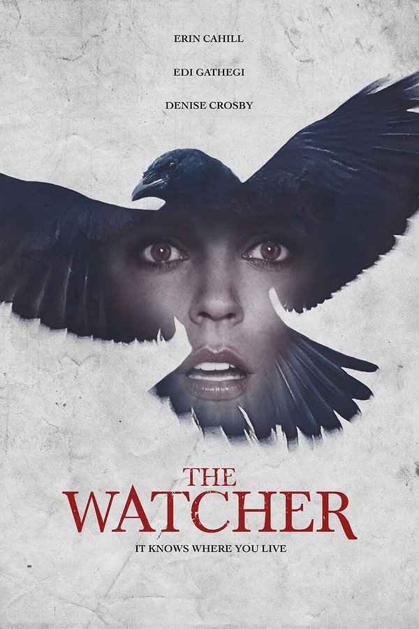 SE - The Watcher