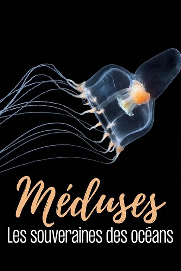 FR - Méduses les souveraines des océans (2025)