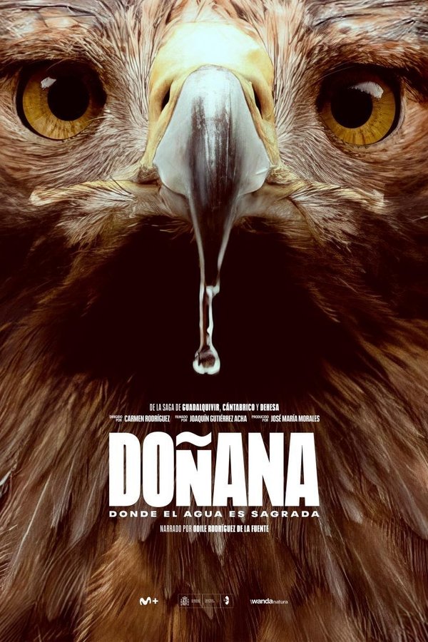 ES - Doñana (2025)