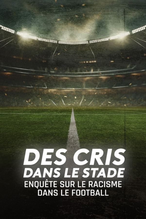 enquête sur le racisme dans le football (2024)