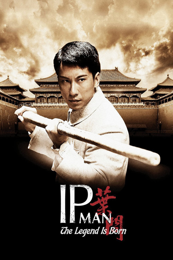 GR - The Legend Is Born: Ip Man (2010)