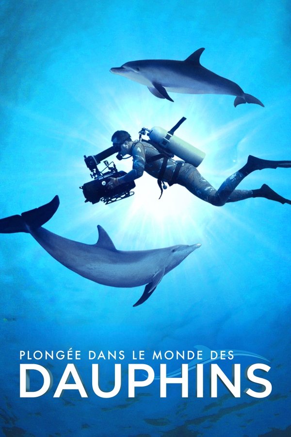 FR - Plongée dans le Monde des Dauphins (2020)