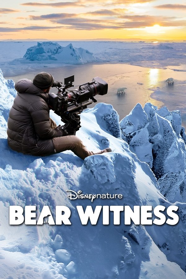 EN - Bear Witness (2022)