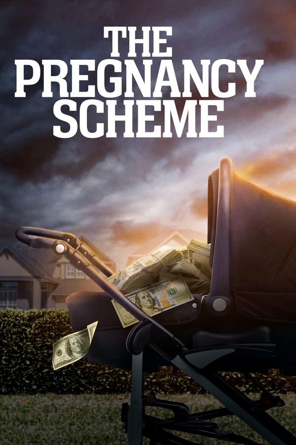 FR - The Pregnancy Scheme (2023)