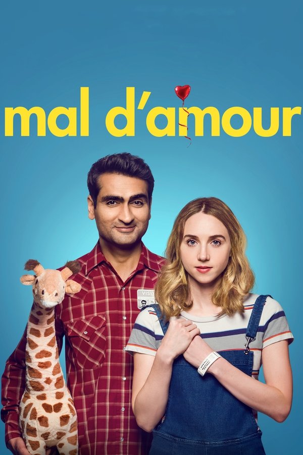 FR - The Big Sick (2017)