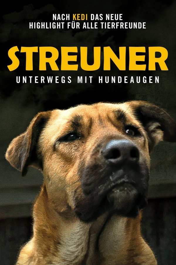 DE - Streuner: Unterwegs mit Hundeaugen (2020)