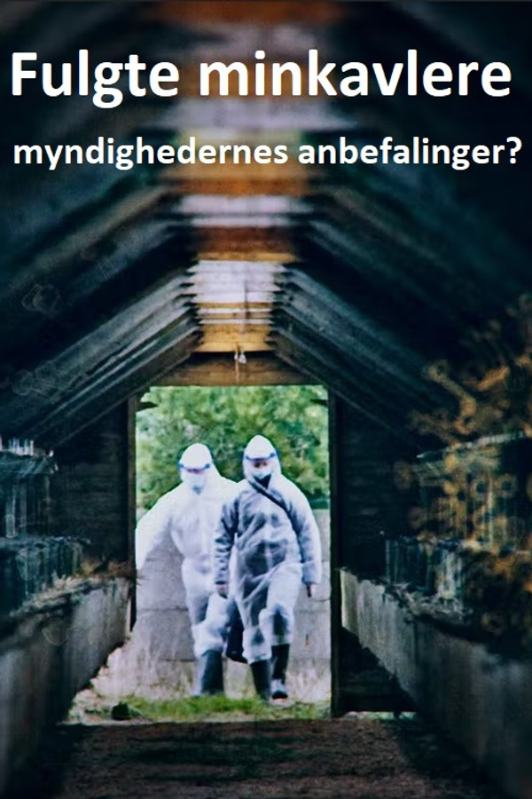 DK - Fulgte minkavlere myndighedernes anbefalinger? (2022)