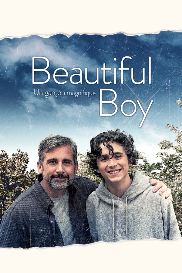FR - My Beautiful Boy (2018)
