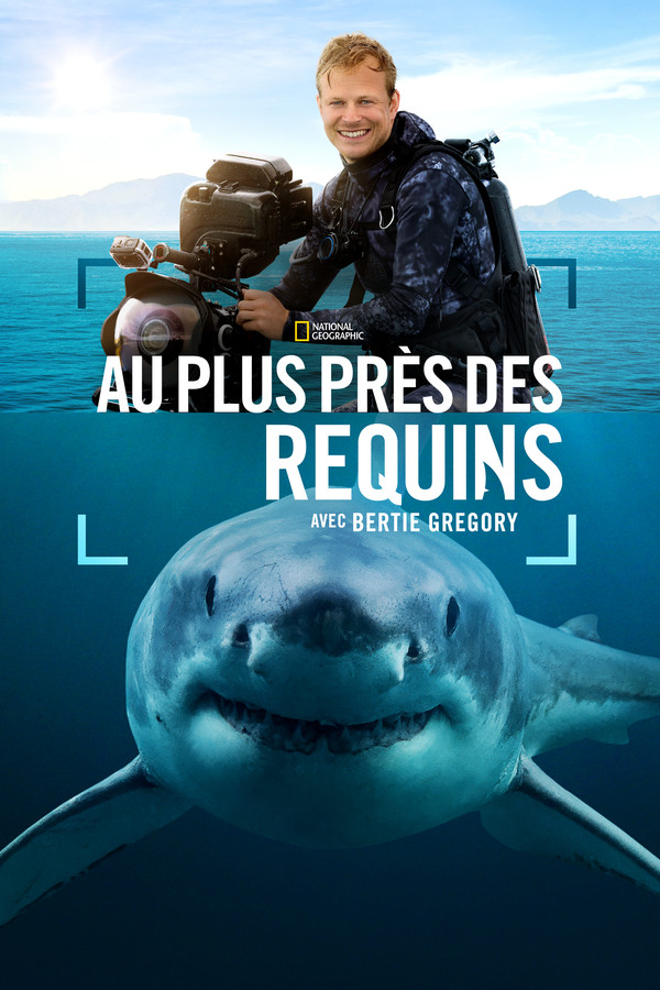 FR - Au plus près des requins avec Bertie Gregory (2025)