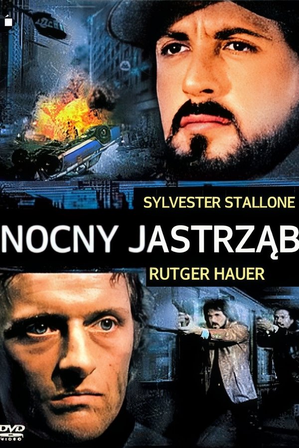 PL - NOCNY JASTRZĄB (1981)
