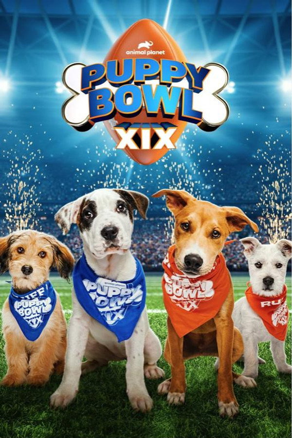 EN - Puppy Bowl XIX (2023)