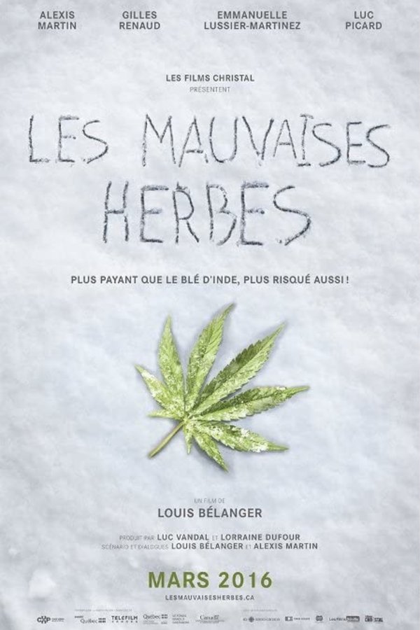 FR - Les mauvaises herbes  (2016)
