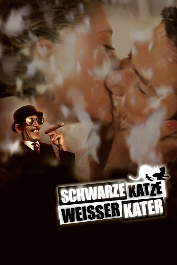 weißer Kater (1998)