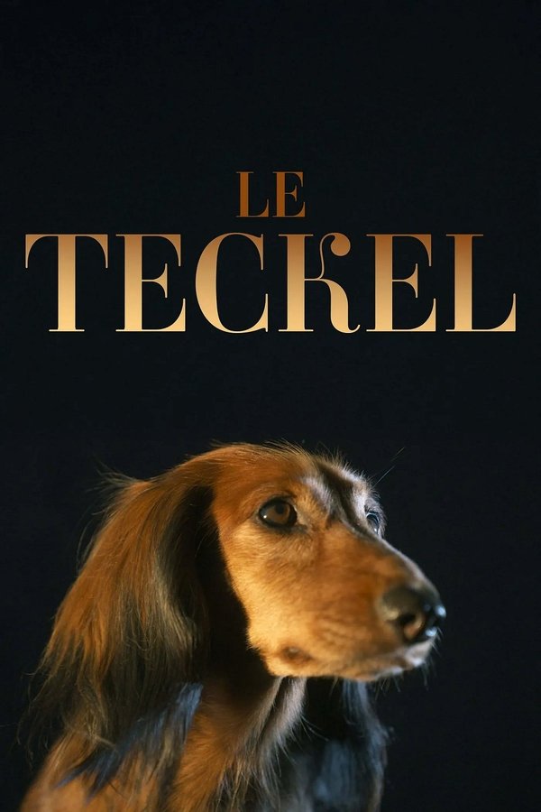 FR - Le teckel (2025)