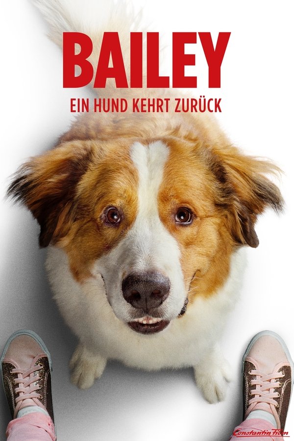 DE - Bailey: Ein Hund kehrt zurück (2019)