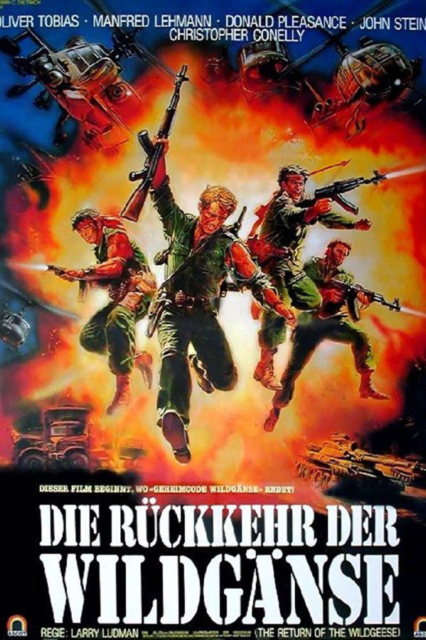 DE - Die Rückkehr der Wildgänse (1986)