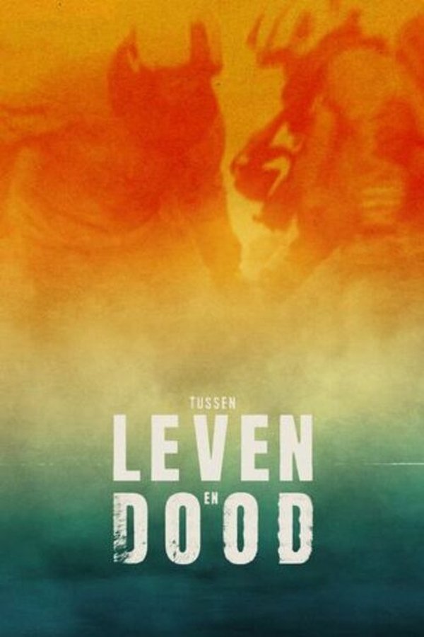 NL - TUSSEN LEVEN EN DOOD
