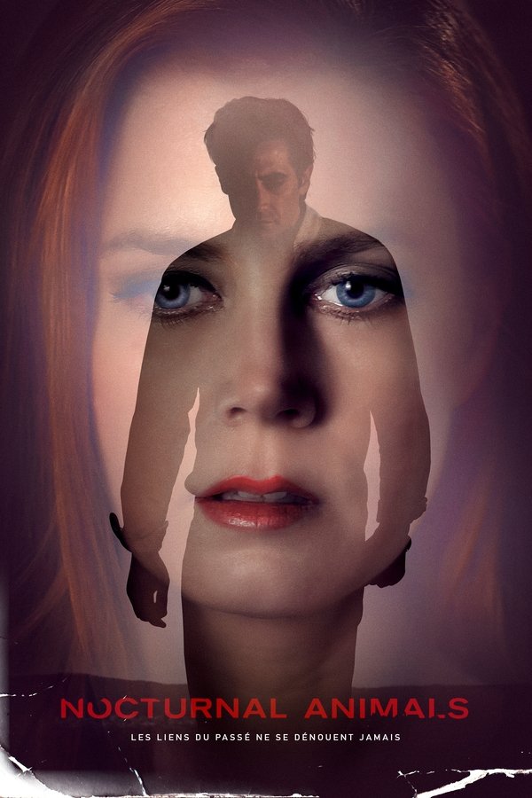 FR - Nocturnal Animals (2016)