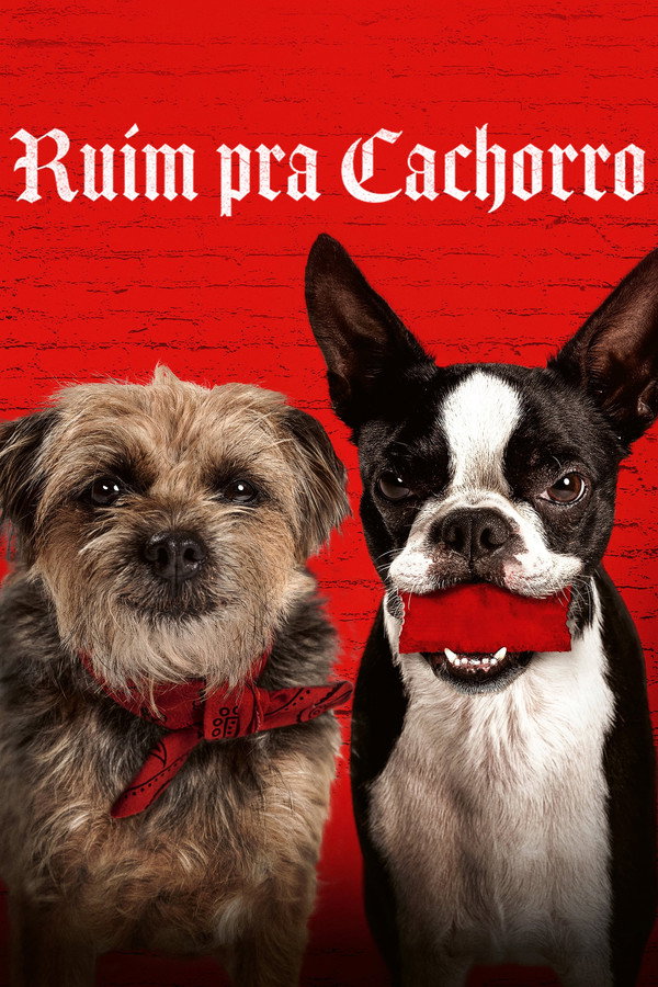 BR - Ruim pra cachorro (2023)