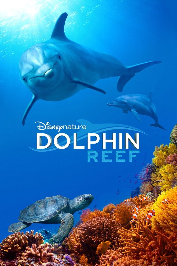 DK - Dolphin Reef (2018)