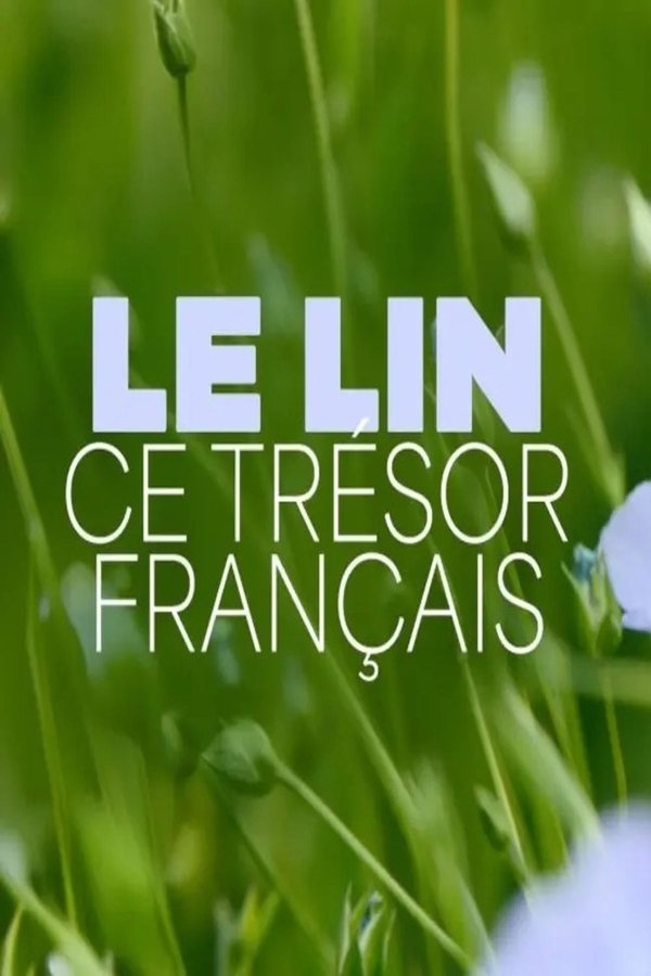 ce trésor français (2025)
