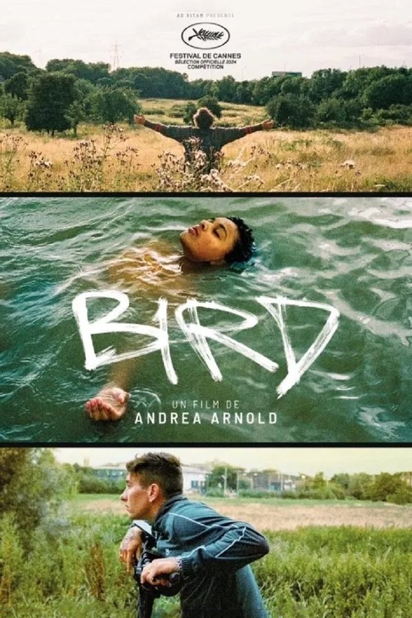 FR - Bird (2024)