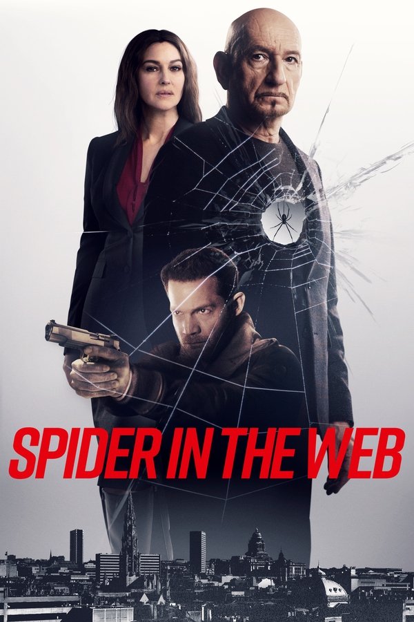 DE - Spider In The Web (2019)