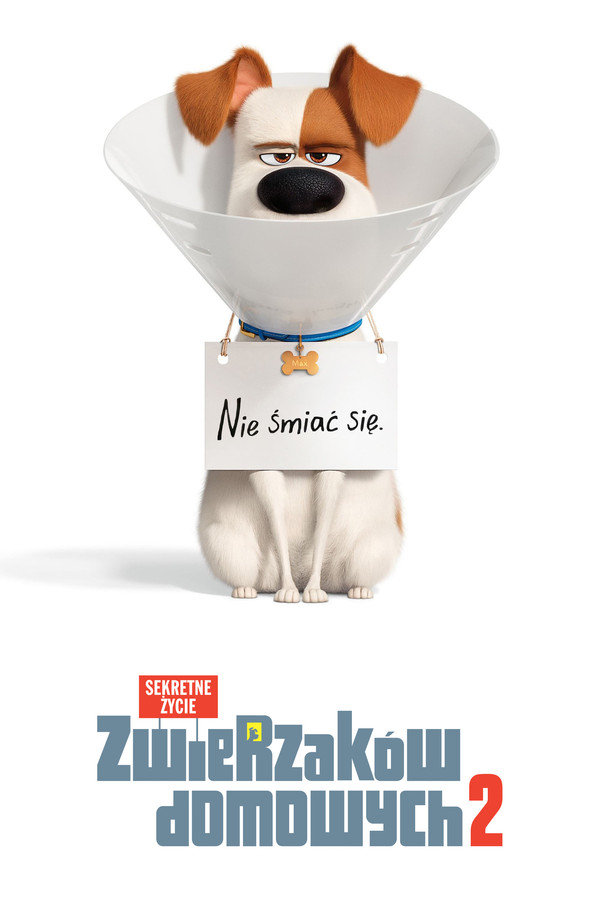 PL - SEKRETNE ŻYCIE ZWIERZAKÓW DOMOWYCH 2 (2019)