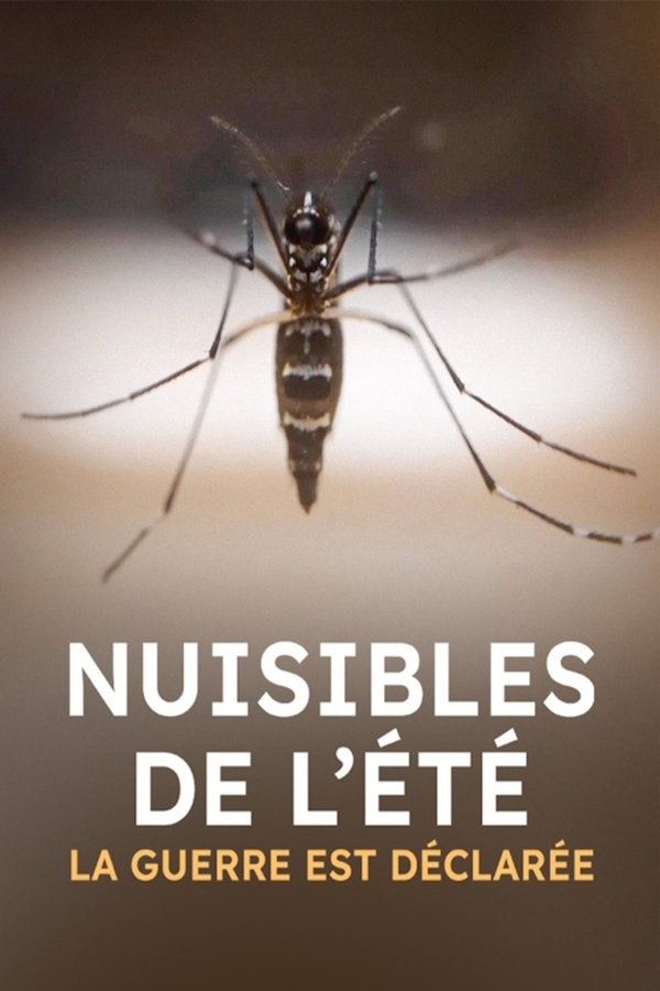 la guerre est déclarée (2025)